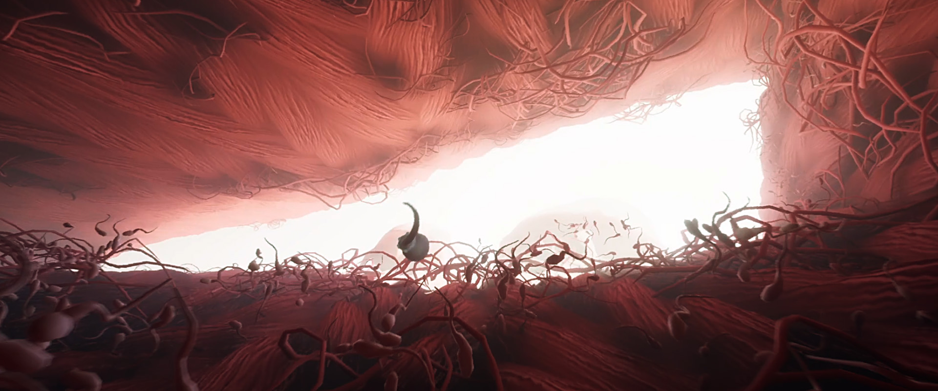 Swarm of Sperm
